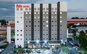 Ibis Uberaba